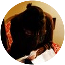 Elissa Cohn Elissa Cohn